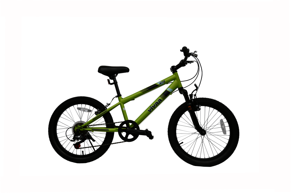 Biciklo dječije 20 inch MTB 20001 unisex Vivaa